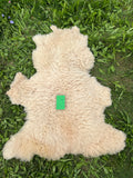 Homegrown Dorset X Romeldale Lamb Sheepskin